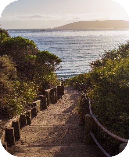 Beach Trail